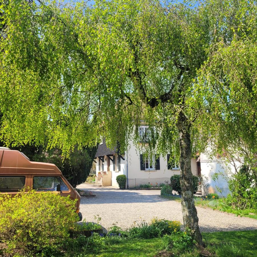 Bed and Breakfast La Tirelire Cosswiller Exterior foto